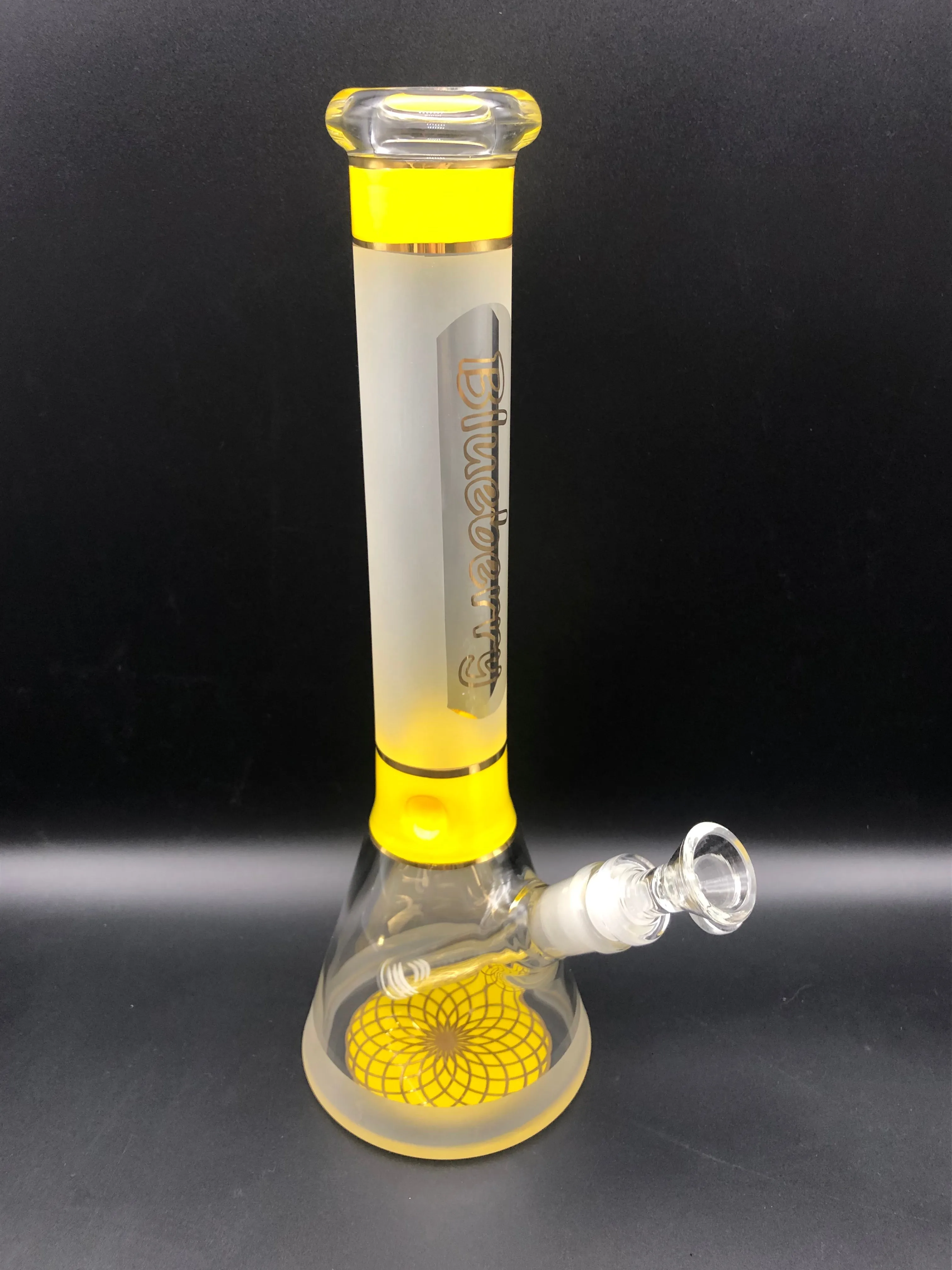 12 Blueberry Mandala-Base Sandblasted Beaker