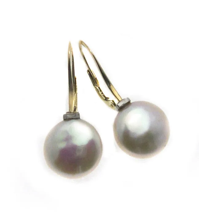 Caribbean Dreams 14K Gold Coin Pearl Lever Back Earrings