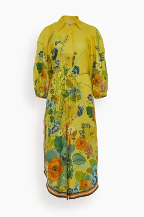 Cresida Shirtdress in Yellow