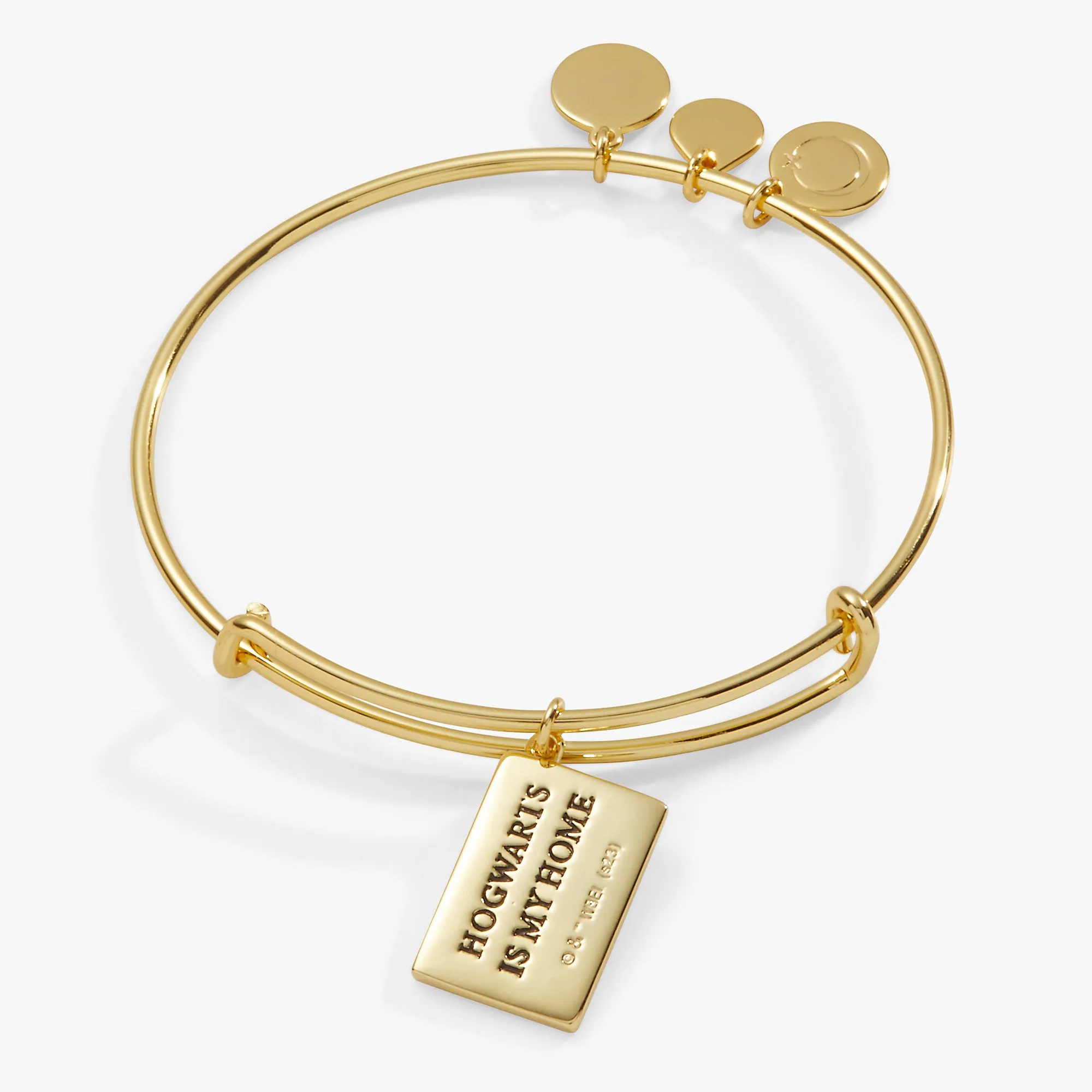 HARRY POTTER Acceptance Letter Charm Bangle