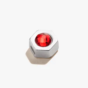 Scarlet Birthstone Slider Charm, January