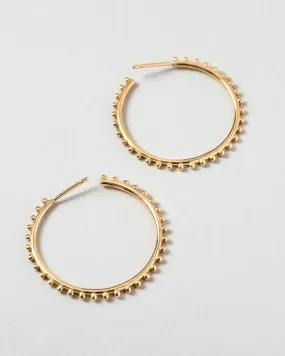 Sunbow Hoops